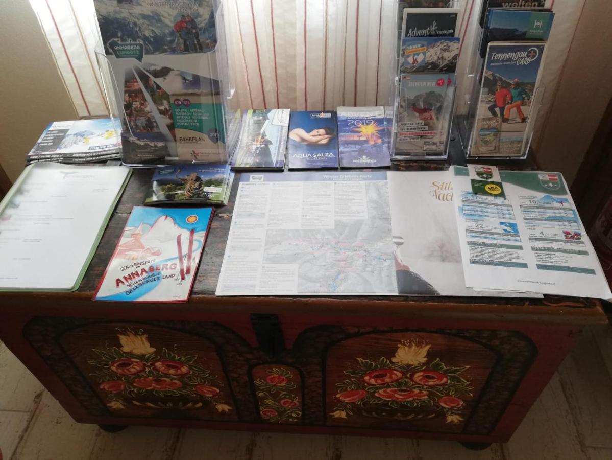 Appartement Leh Annaberg im Lammertal Ngoại thất bức ảnh